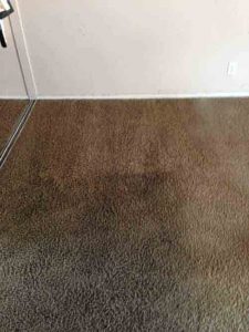carpet cleaning tustin