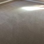 orange county carpet cleaning maintenance pros