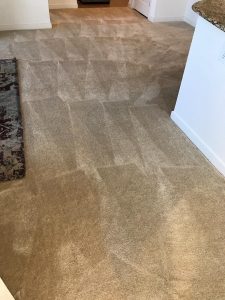 carpet cleaning san clemente