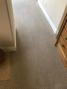 carpet cleaning in orange county with scotch guard application