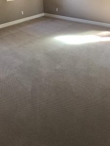 orange county carpet cleaning maintenance pros