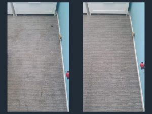 spot removal carpet cleaning in orange county california