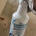 pet stain and odor remover carpet cleaning orange county